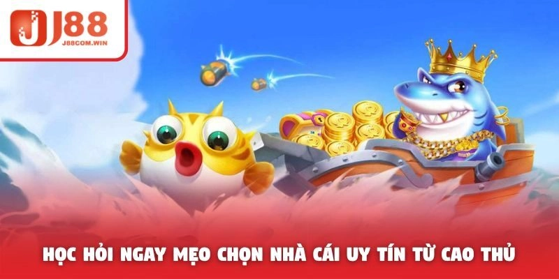 Học hỏi ngay mẹo chọn nhà cái uy tín từ cao thủ