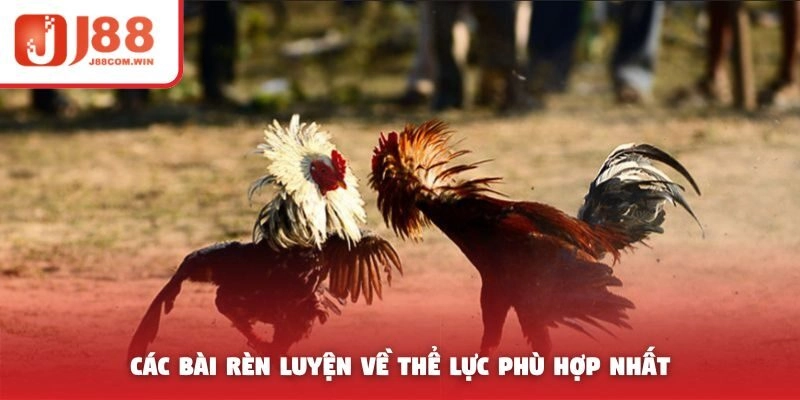 Có bài rèn luyện về thể lực phù hợp nhất