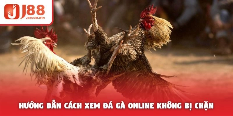 Hướng dẫn cách xem đá gà online không bị chặn