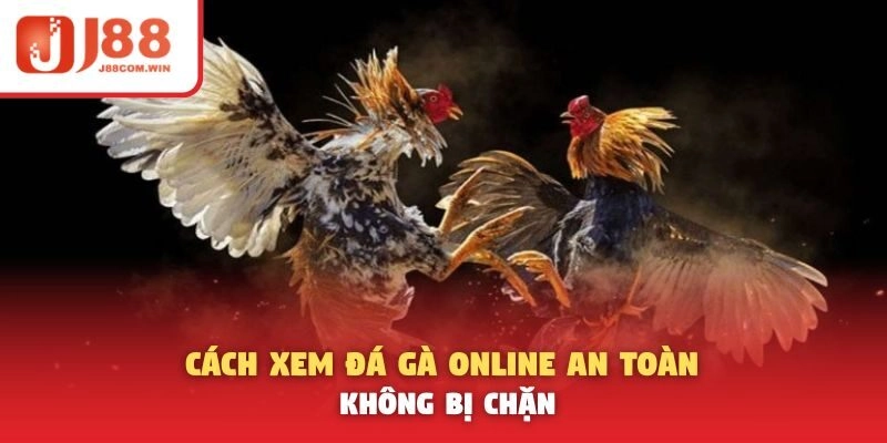 Cách Xem Đá Gà Online An Toàn, Không Bị Chặn