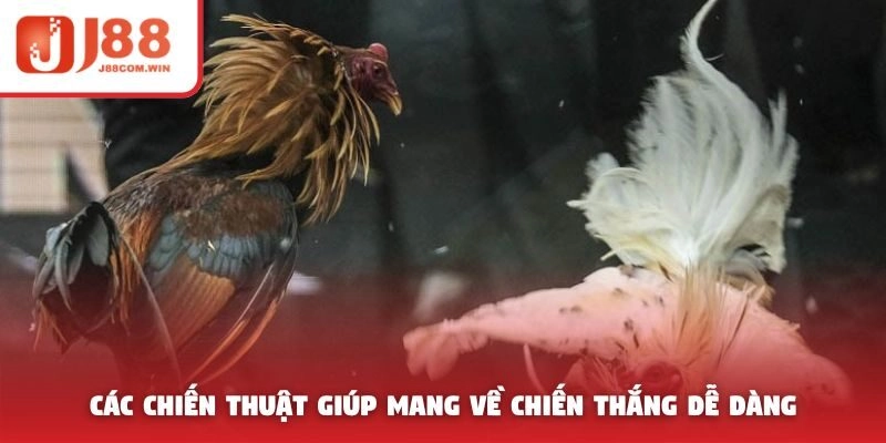 Các chiến thuật giúp mang về chiến thắng dễ dàng