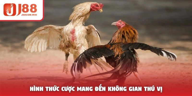 Hình thức cược mang đến không gian thú vị