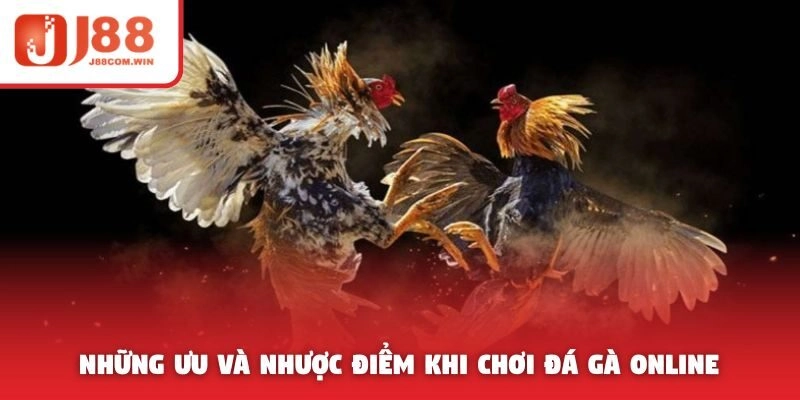 Những ưu và nhược điểm khi chơi đá gà