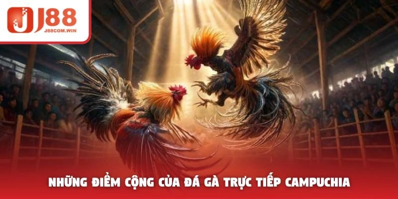 Những điểm cộng của đá gà trực tiếp Campuchia