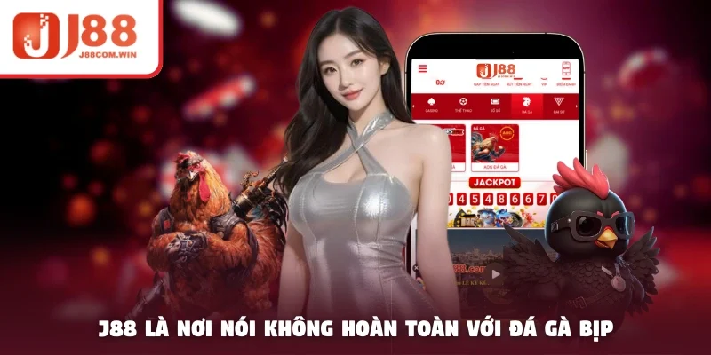 J88 là nơi nói không hoàn toàn với đá gà bịp