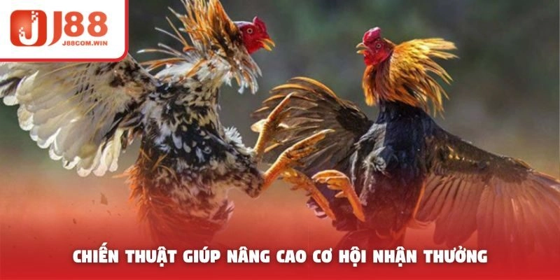 Chiến thuật giúp nâng cao cơ hội nhận thưởng